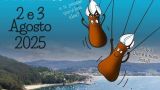 Fiesta del Percebe 2025 en Cedeira: Programa, cartel y agenda completa