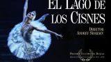 Representación de 'El Lago de los Cisnes' - Ballet Clásico Internacional en Pontevedra