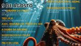 Feira do Polbo de Porto do Son 2025: Programa, cartel y agenda completa