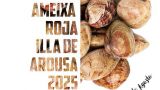 Fiesta de la Almeja Roja 2025 en Illa de Arousa: Programa, cartel y agenda completa
