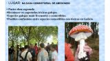 Jornadas Micológicas en Abegondo