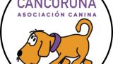 I Curso canino a los niños - '¡HOLA, PERRITO!' en A Coruña