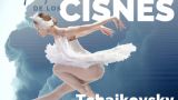 Representación de 'El Lago de los cisnes' de Tchaikovsky National Ballet SCQ en Vigo
