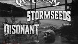 One Night one hell fest (Vertebrae + Stormseeds + Disonant) en Vigo