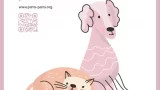 II Feria de los Animales de Compañía y Turismo Pet-Friendly - PATA PATA en A Coruña