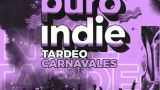 Fiesta 'Puro Indie' - Tardeo Carnaval en Lugo