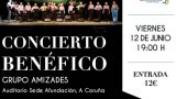 Concierto Benéfico AFACO - AMIZADES en A Coruña