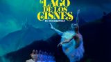 Representación de 'El Lago de los Cisnes' del Ballet de Kiev en Ourense