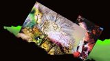 Exposición de fotografía micropictórica - 'More de la Cal' en A Coruña
