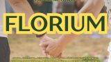 IV Florium Romaría Tribal en Irixoa