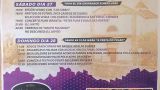 Fiestas de San Pedro de Visma 2026 en A Coruña: Programación, cartel, y agenda completa
