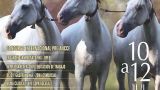 Equina 2026 en Silleda: Programa, cartel y agenda completa