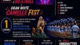 Fiestas de Camelle 2026 en Camariñas: Programa, cartel y agenda completa
