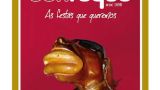 Fiestas de San Roque 2026 en Vilagarcía de Arousa: Programa, cartel y agenda completa