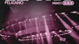 Fiesta 'Código Blanco' de Pelícano en A Coruña