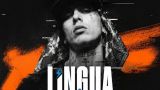 Afterparty Oficial de Lingua Urbana en Santiago de Compostela