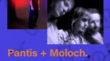 Concierto de Moloch + Pantis en Cambados