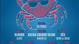 Festa do Marisco de O Grove 2026: Programa, cartel y agenda completa