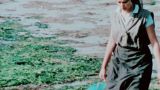 Proyección de 'Illa' de Carlos A. López Piñeiro en A Coruña