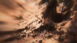 Proyección de 'Decaer' de Juan Camilo González - Festival de Cine Intersección 2026 en A Coruña