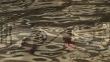 Proyección de 'Al-Mashrou’' de Shuruq Harb - Festival de Cine Intersección 2026 en A Coruña