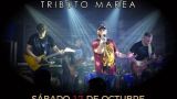 Concierto de Lija y Terciopelo en Ferrol